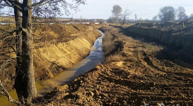 Жертвами дамбы в Севастополе стали более 400 деревьев