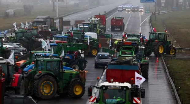 Как бунтуют европейские фермеры, и чем это грозит Украине
