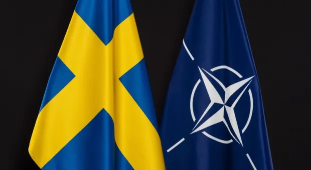 Теперь и Швеция: НАТО снова расширится