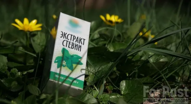 Заменный плод сладок: в Крыму прокомментировали запрет стевии