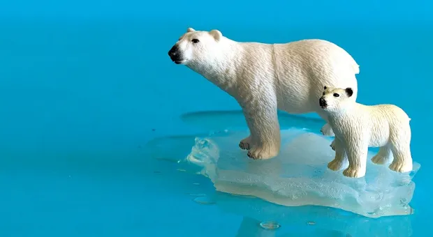 Из Арктики поступают тревожные сигналы для всей Земли