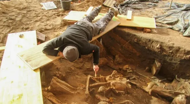 Тысячи тел: найдена возможная самая большая братская могила в Европе