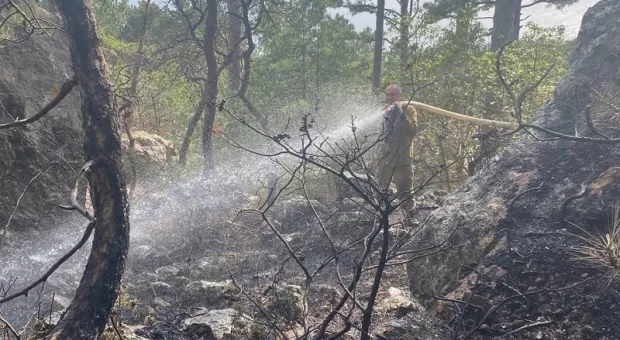 На юге Крыма заповедные леса загорелись в трёх местах