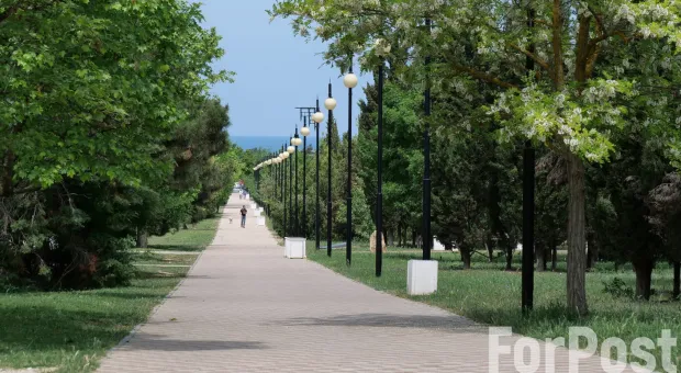 В севастопольском парке Победы обещают полосу для самокатов