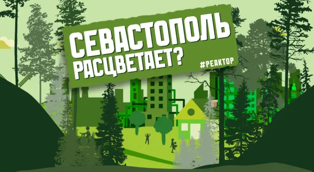 Когда Севастополь зазеленеет и расцветет? – ForPost «Реактор» 