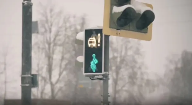 В России появились новые светофоры с белой машиной: что они значат