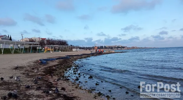 Новости Севастополя - Управлять катером в Севастополе можно было и без экзаменов