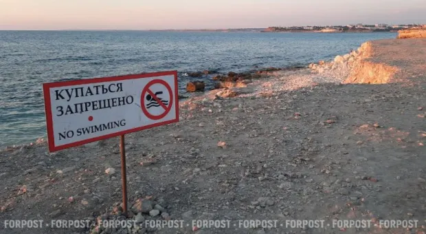 Новости Крыма - В море выловили огромную акулу-«золотую рыбку»