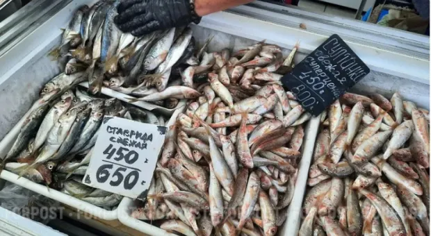 Новости Севастополя - 