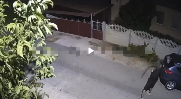 Новости Севастополя - В Севастополе запретили парковаться у парка Победы 