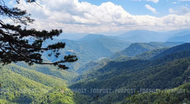 Новости Крыма - Что ждёт крымчан в парке имени главного украинского поэта