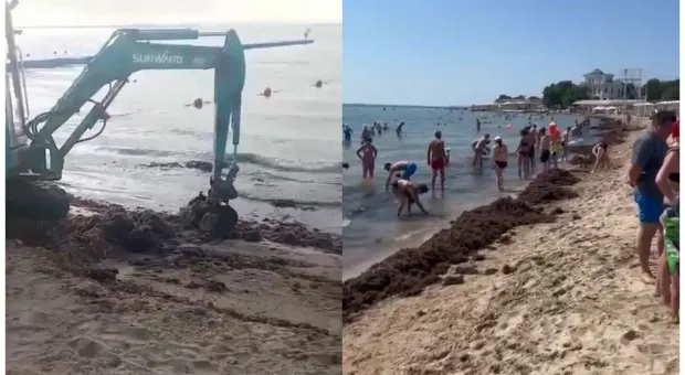 Новости Крыма - 