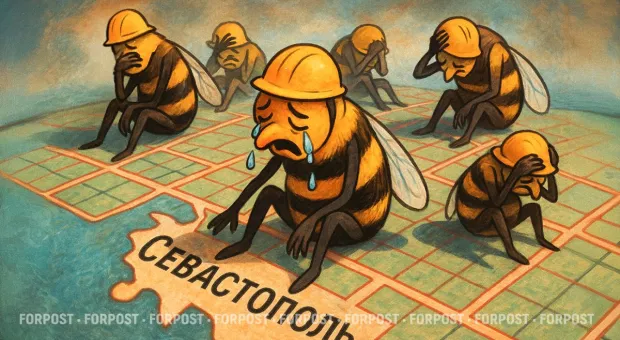 Новости Севастополя - Севастопольская малина дорого обошлась бизнесмену