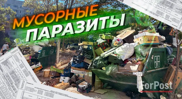Новости Севастополя - Севастопольская малина дорого обошлась бизнесмену