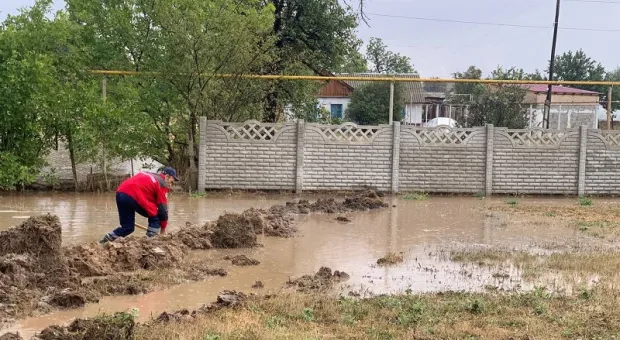Новости Крыма - Семейство лис пришло «учиться» на двор одной из крымских школ 