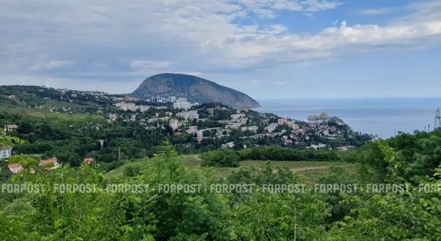 Новости Крыма - Полтора десятка ДТП в Крыму оказались «липой»