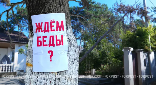 Новости Севастополя - 