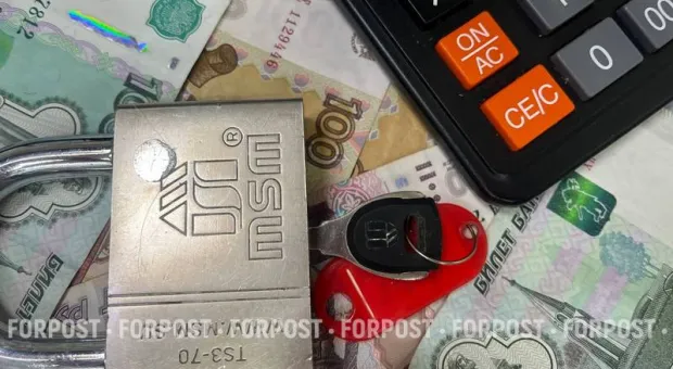 Новости Севастополя - В Севастополе по инициативе УК «Центр» спилили роскошную глицинию 