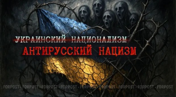 Новости Севастополя - Норвежский циклон закрыл бархатный сезон в Севастополе