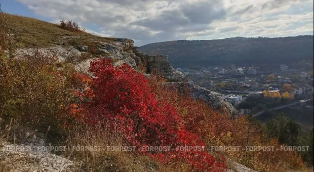 Новости Крыма - 
