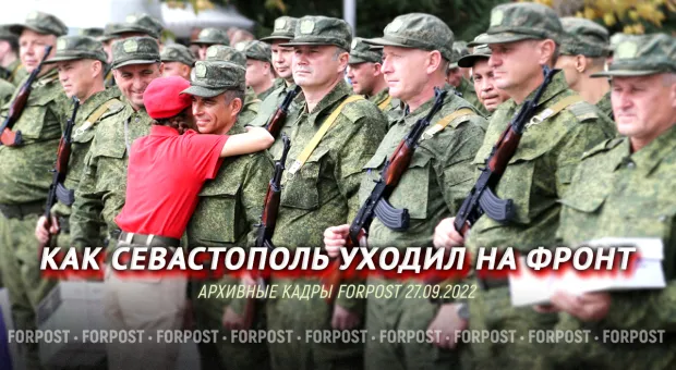 Новости Севастополя - В Севастополе ветеринар после лечения пса прописал два удара его хозяину