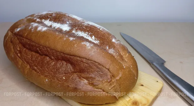 Новости Севастополя - Севастополь закупил 4,6 тыс. тонн зерна