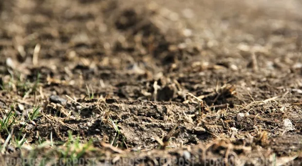 Новости Севастополя - Юмашевский рынок «прикажет долго жить»?!