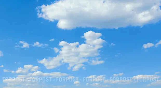 Мировые новости - Победа евроскептика и попытка госпереворота: чем закончились выборы в Чехии и Грузии