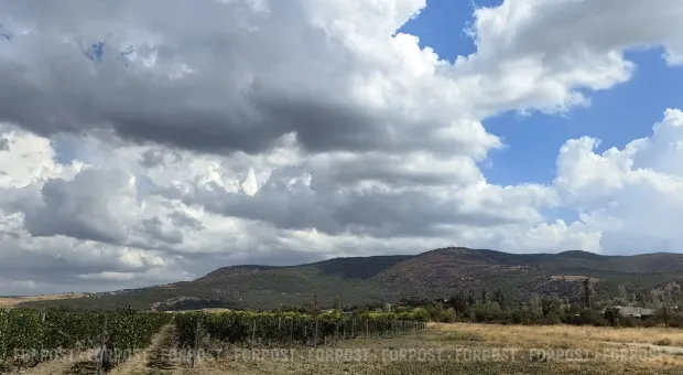 Новости Севастополя - В Севастополе начали продавать озера в частную собственность 