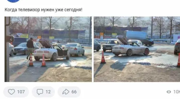 Новости Севастополя - СевСети #1407: Резонансное ДТП, дрессировка белок и жалобы Севастополя