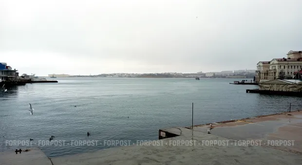 Новости Севастополя - Севастопольский лёд: каток в «Муссоне» открылся под Новый год