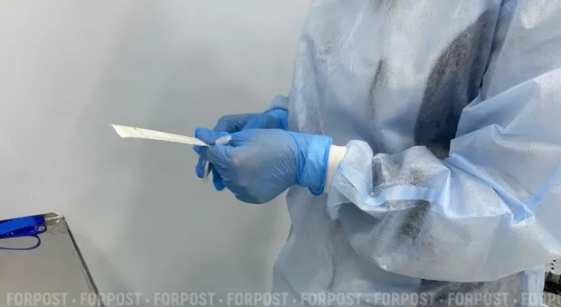 Новости Севастополя - Почему будущих врачей в Крыму учат распознавать лепру и другие «забытые» болезни