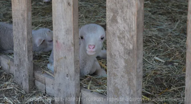 Новости Севастополя - Хороших дорог много не бывает: Севастополю дали еще 426 миллионов рублей