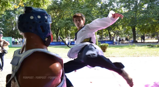 Новости Севастополя - Севастопольцы стали больше зарабатывать