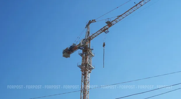Новости Севастополя - В Севастополе может появиться конная полиция 