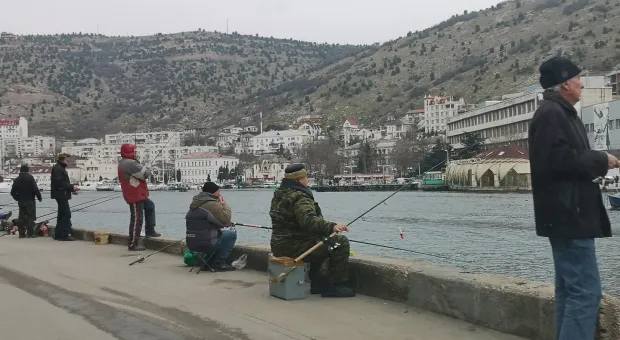 Новости Севастополя - Среди жителей Крыма есть инопланетяне и эльфы