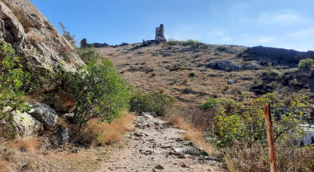 Новости Севастополя - Прививочным пунктам Севастополя дали выходной