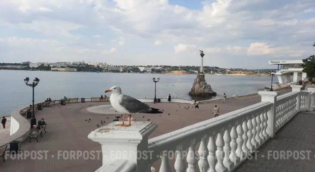 Новости Севастополя - 100-летие Степана Бандеры в Севастополе осталось незамеченным, Киев отметился «съездом ветеранов»