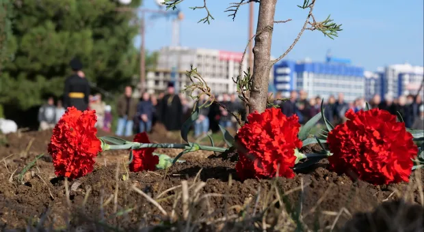 Новости Севастополя - В Севастополе появилась аллея городских скульптур
