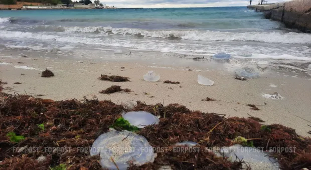 Новости Севастополя - Стрелецкую бухту загрязняют грудами металла и остатками горючего