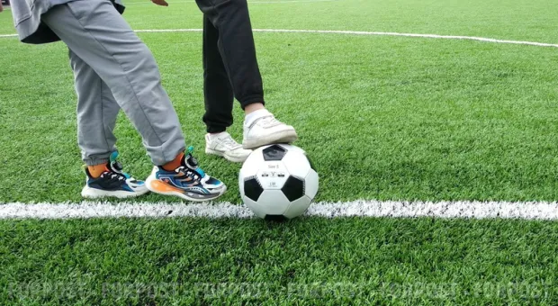 Новости Севастополя - Сравни цены за неделю