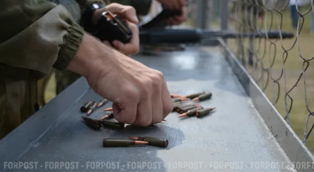 Новости Севастополя - В Севастополе нашли гранату в луже возле многоэтажного дома