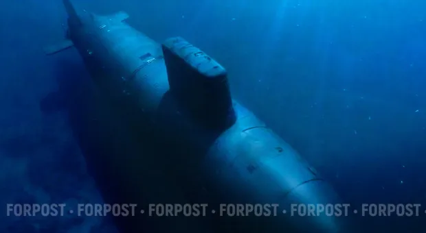 Новости Севастополя - Перманентное яблоко раздора