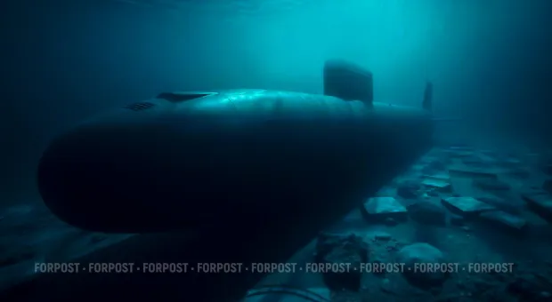 Новости Севастополя - Тело пропавшего год назад крымчанина было найдено в лесу