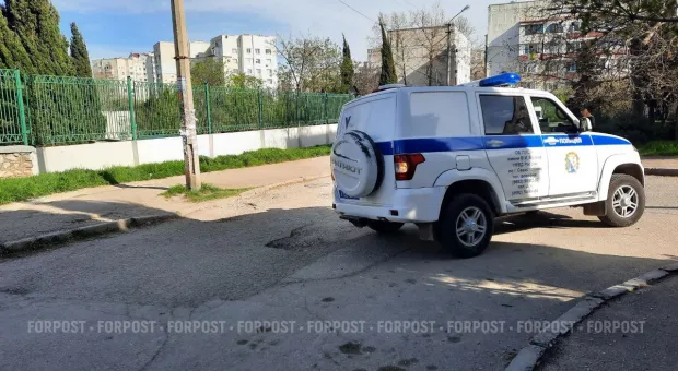 Новости Севастополя - В Саках неизвестный обчистил городскую елку 