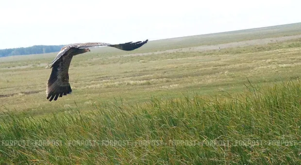 Новости Севастополя - В Севастополе продолжают строить многоэтажки без Генплана и ПЗЗ