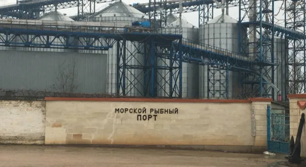 Новости Севастополя - Эксперт: Севастопольский морпорт необходимо приватизировать