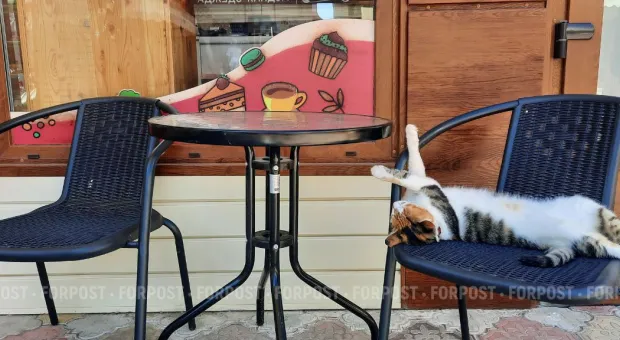 Новости Севастополя - 