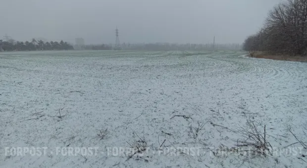 Новости Севастополя - 67% севастопольских предприятий не соблюдают требование Госстандарта