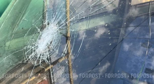 Новости Севастополя - Наркоман «завис» во время кражи в аптеке